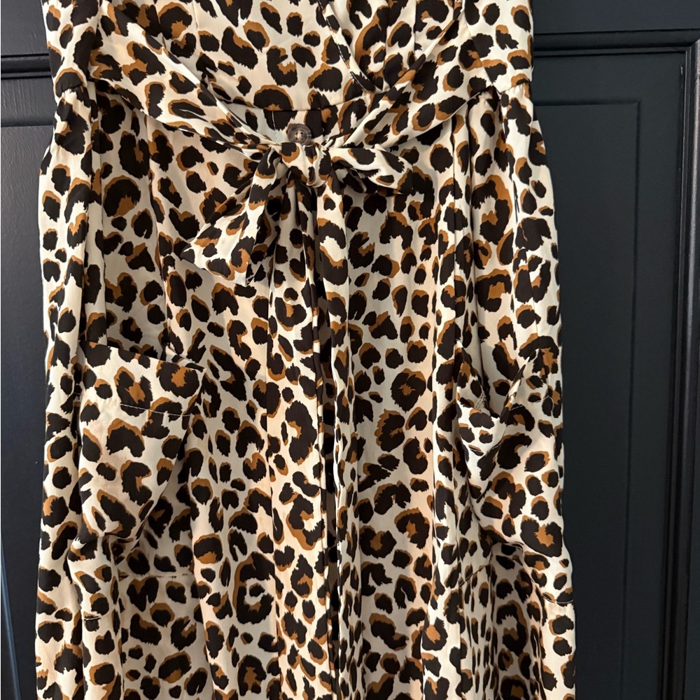 Sienna Sky Leopard Print Dress